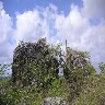 dangerous_rocks.jpg (183548 bytes)