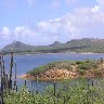 flamingo_territory.jpg (52761 bytes)