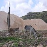 good_donkey.jpg (49783 bytes)