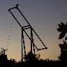 pelican_silhouette.jpg (23495 bytes)
