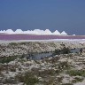 salt.jpg (37513 bytes)