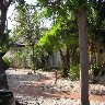 the_villas.jpg (103574 bytes)