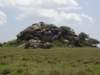 andhills_small.jpg