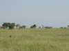 aserengetiairstripinthemiddleofnowhere_small.jpg