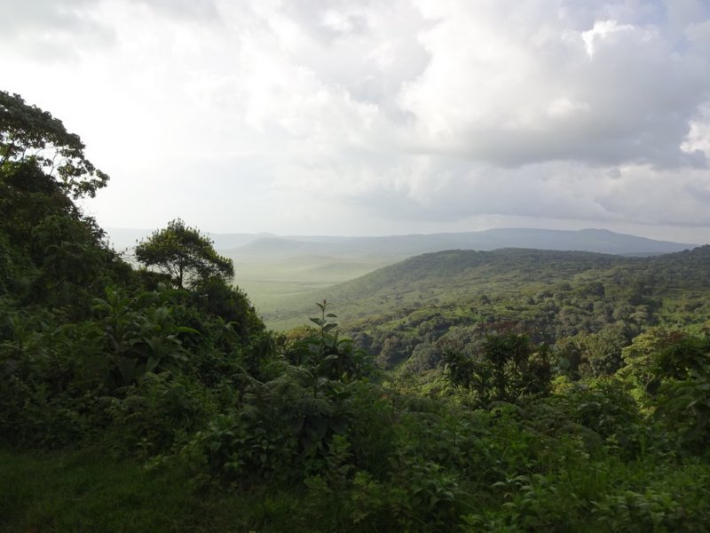 atthetopofngorongorocrater.jpg