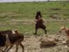 ayoungmaasaiherder_small.jpg
