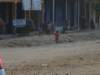 dsc03338_small.jpg