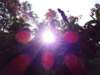 dsc03593_small.jpg