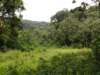 dsc03611_small.jpg