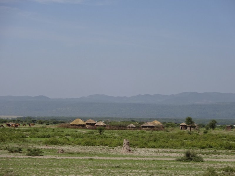 dsc03770.jpg