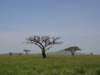 dsc03931_small.jpg