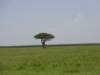 dsc03934_small.jpg