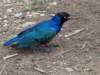 dsc03966_small.jpg