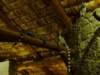 dsc04027_small.jpg