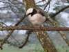 dsc04030_small.jpg