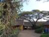 dsc04036_small.jpg
