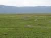 dsc04147_small.jpg