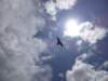 dsc04160_small.jpg