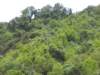 dsc04185_small.jpg