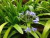 dsc04247_small.jpg