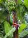 dsc04248_small.jpg
