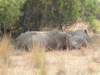 dscn2426_small.jpg