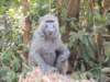 dscn2451_small.jpg