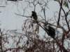 dscn2453_small.jpg