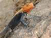 dscn2468_small.jpg