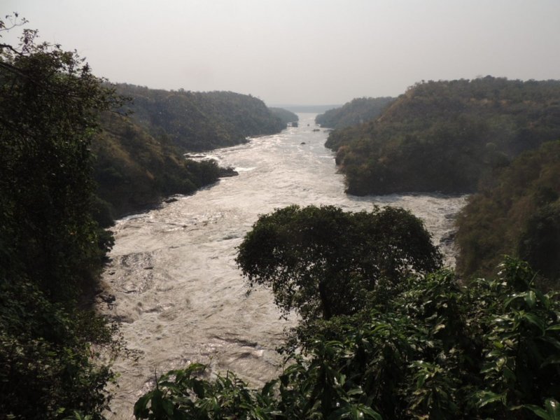 dscn2494.jpg