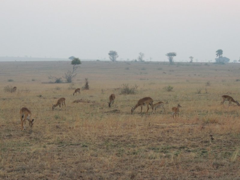 dscn2554.jpg