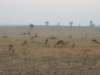 dscn2554_small.jpg