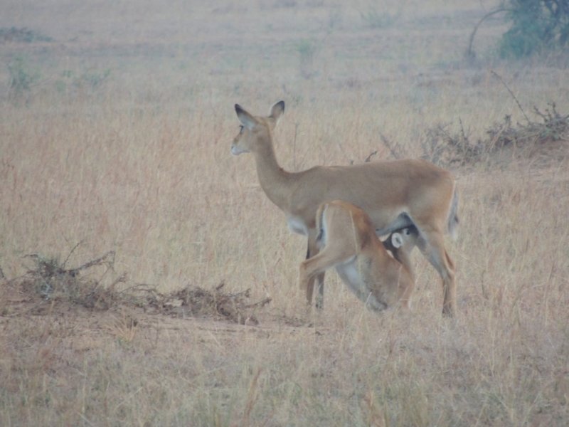 dscn2556.jpg