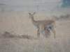 dscn2556_small.jpg