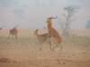 dscn2562_small.jpg