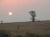 dscn2568_small.jpg