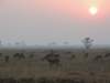 dscn2577_small.jpg