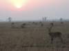 dscn2579_small.jpg