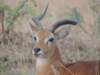 dscn2581_small.jpg
