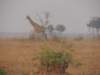 dscn2587_small.jpg