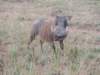 dscn2593_small.jpg