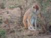 dscn2599_small.jpg
