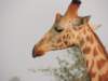 dscn2610_small.jpg