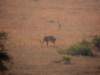 dscn2618_small.jpg