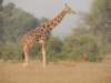 dscn2622_small.jpg