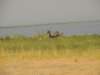 dscn2654_small.jpg