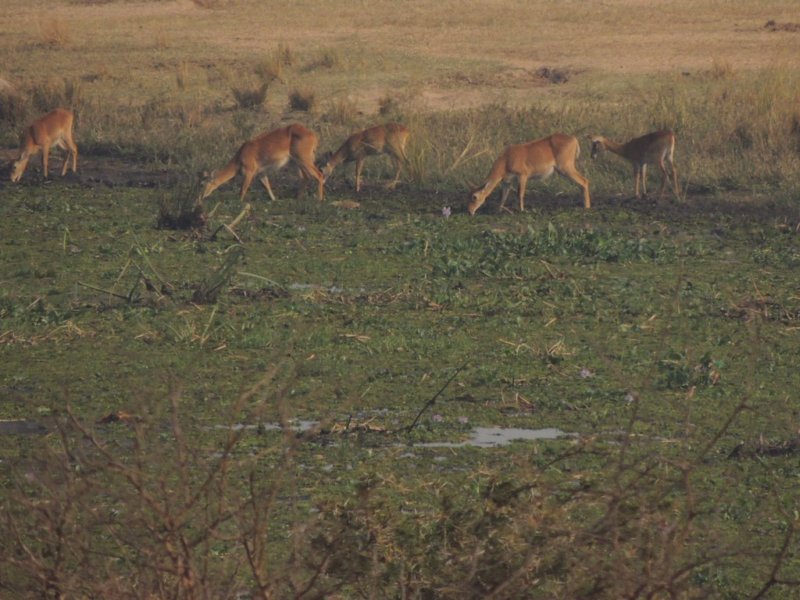 dscn2681.jpg