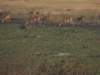dscn2681_small.jpg
