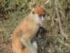 dscn2685_small.jpg