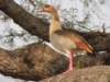 dscn2694_small.jpg